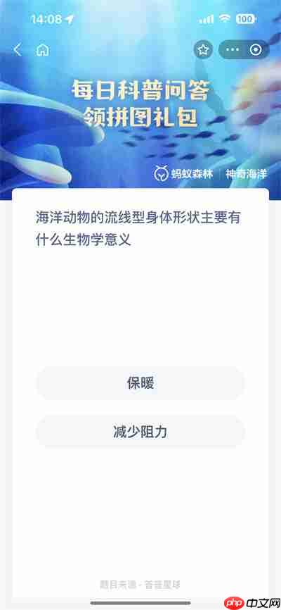 支付宝的神州租车怎么样 支付宝的神奇海洋什么时候出来的