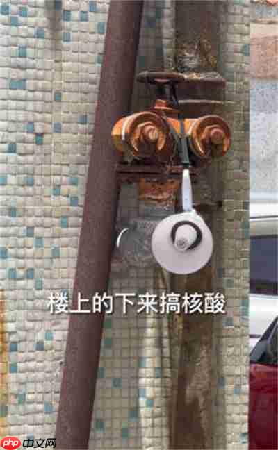 抖音叮咚鸡叮咚鸡是什么梗