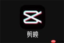 剪映局部放大效果怎么设置