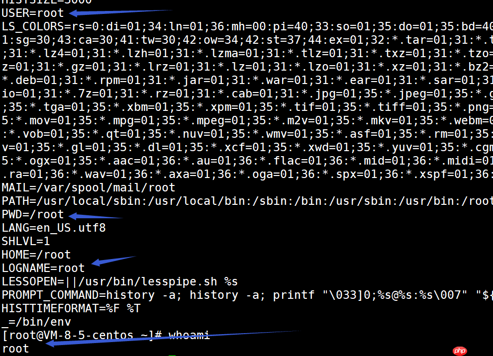 【Linux操作系统】环境变量和命令行参数
