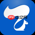 手机备份软件推荐 手机文件备份软件