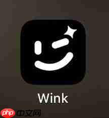 wink缓存清理功能怎么找