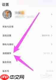 wink缓存清理功能怎么找