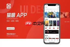 怎么在猫眼看电影时快速抢票