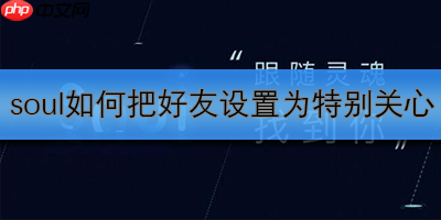soul如何把好友设置为特别关心