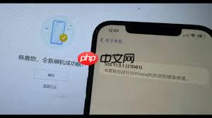 升级iOS17.3.1后能否降级