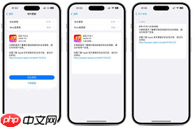升级iOS17.3.1后能否降级