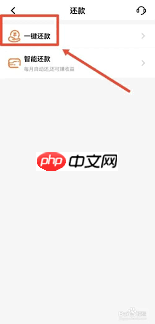 平安银行app提前还款怎么操作