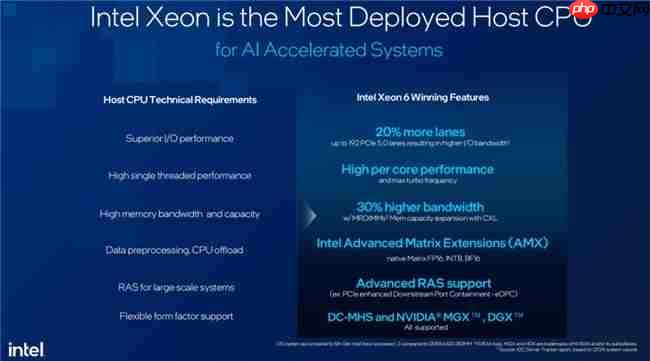 术业有专攻——AI系统主控CPU英特尔至强6新品处理器浅析