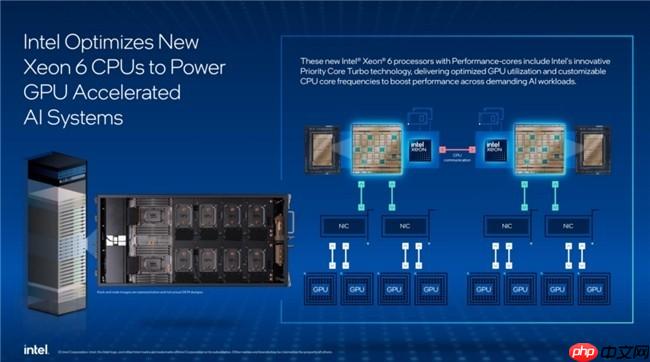 术业有专攻——AI系统主控CPU英特尔至强6新品处理器浅析