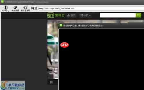 爱奇艺去水印观看方法