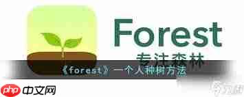 forest专注森林如何开始种树方法