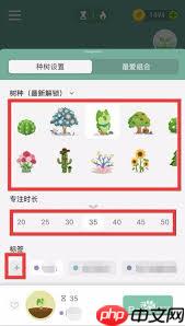 forest专注森林如何开始种树方法