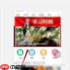 芒果TV如何开启弹幕功能