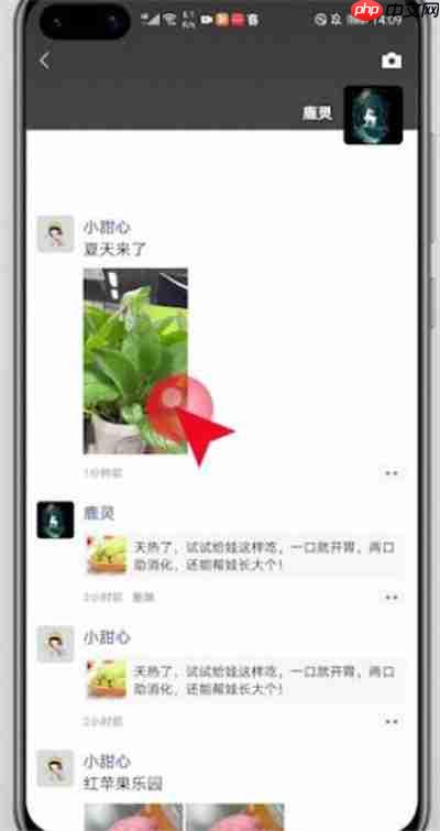 微信朋友圈内容怎么转发
