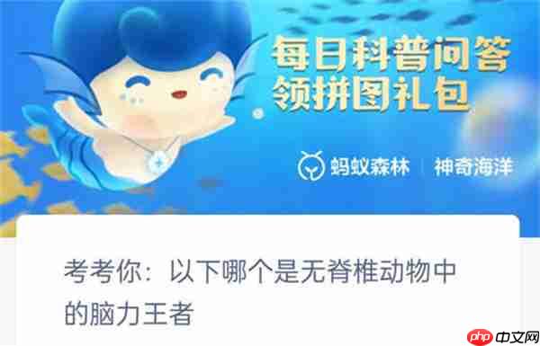 支付宝神奇海洋考考以下哪个是无脊椎动物中脑力王者