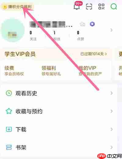 爱奇艺怎么查看自己的积分