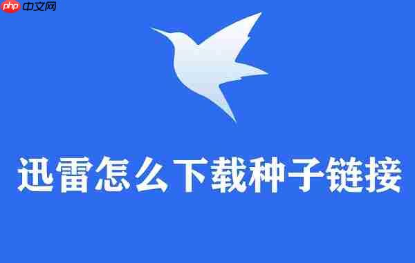 迅雷怎么下载种子链接