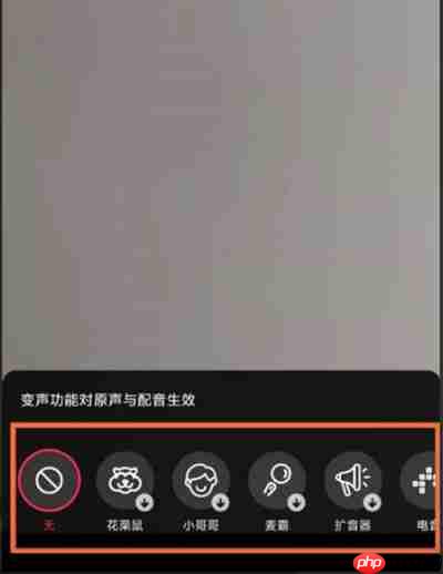 抖音怎么设置短视频变声