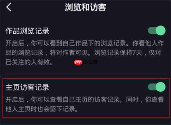 抖音怎么开启访客小人的标志