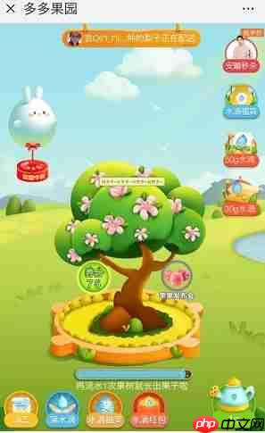 多多果园红包怎么领