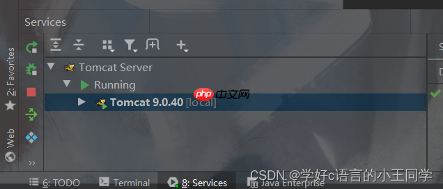 猿创征文｜ JAVA Web的环境部署