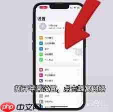 苹果手机如何关闭移动流量设置