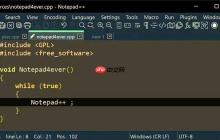 参加Notepad++线下技术交流活动的经验分享
