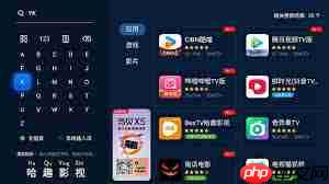 当贝盒子能否下载优酷视频