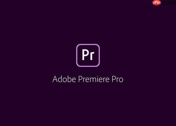 Premiere如何加文字？如何使用Premiere添加文本标题详细教程