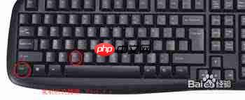 电脑复制粘贴操作详细步骤是什么