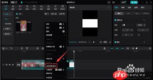 剪映电脑版如何导出TXT字幕文件