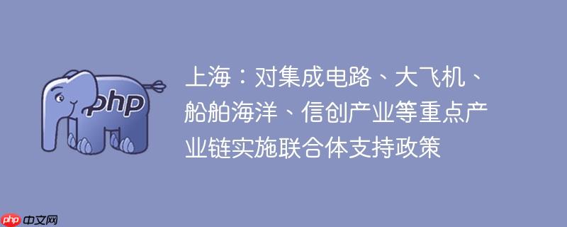 上海：对集成电路、大飞机、船舶海洋、信创产业等重点产业链实施联合体支持政策