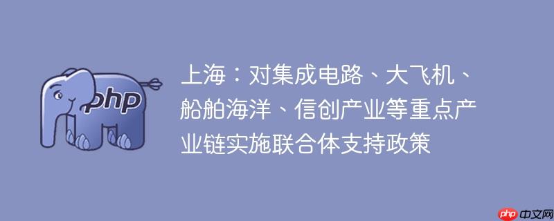 上海：对集成电路、大飞机、船舶海洋、信创产业等重点产业链实施联合体支持政策