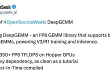 DeepSeek 开源周第三弹：DeepGEMM —— 高效的 FP8 GEMM 库，核心代码仅 300 行！