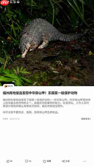 新浪新闻和搜狐新闻对比评测