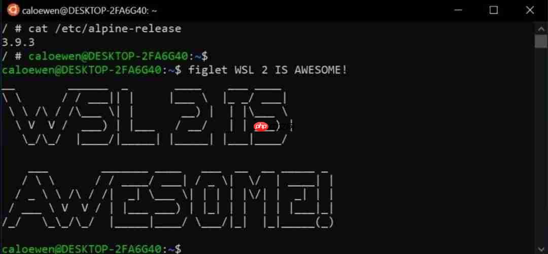 Linux 正在吞噬 Windows 和 Chrome OS！