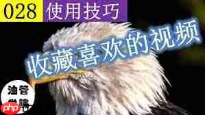 优酷收藏视频的方法