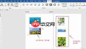 Word如何统一调整多张图片尺寸