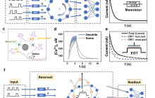 中国科大在类脑智能神经形态器件领域取得新进展
