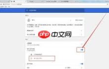 谷歌浏览器网址在哪里找