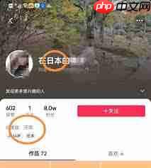 抖音的IP地址显示方法