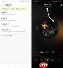 打开手机网易云音乐自动弹出原因
