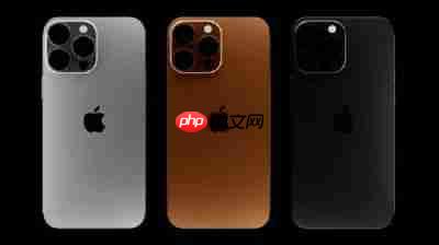 iPhone15Pro如何隐藏静音铃声图标
