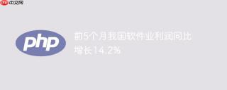 前5个月我国软件业利润同比增长14.2%