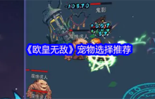 音贝才是王道  欧皇无敌宠物选择终极避坑指南