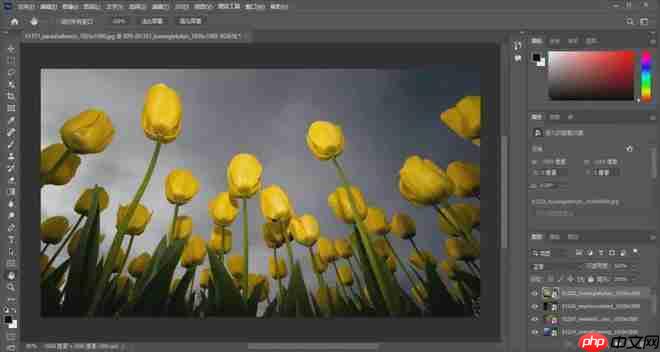 ps软件安装不了什么原因？Adobe ps2022 2023中文版下载安装