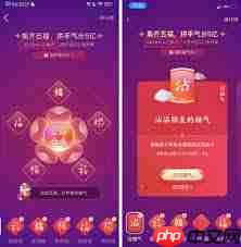 支付宝集五福活动怎么样