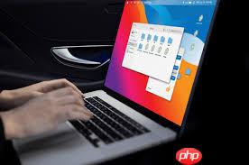 电脑软件安装在C盘的影响大吗