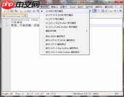 notepad能否用于编码